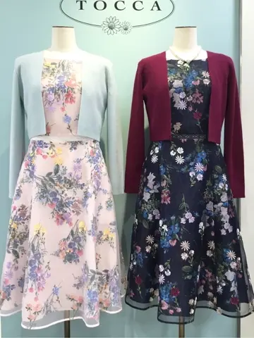 TOCCA 𝒽 コーディネート画像