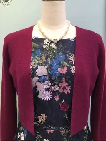 TOCCA 𝒽 コーディネート画像