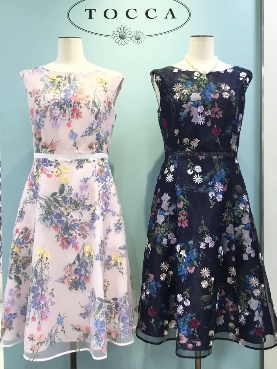 TOCCA 𝒽 コーディネート画像