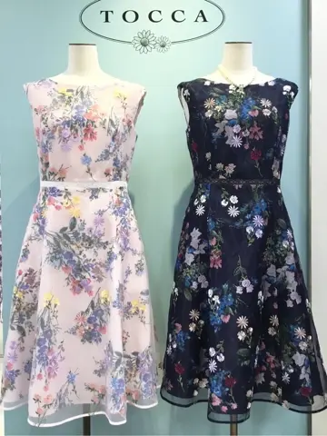 TOCCA 𝒽 コーディネート画像