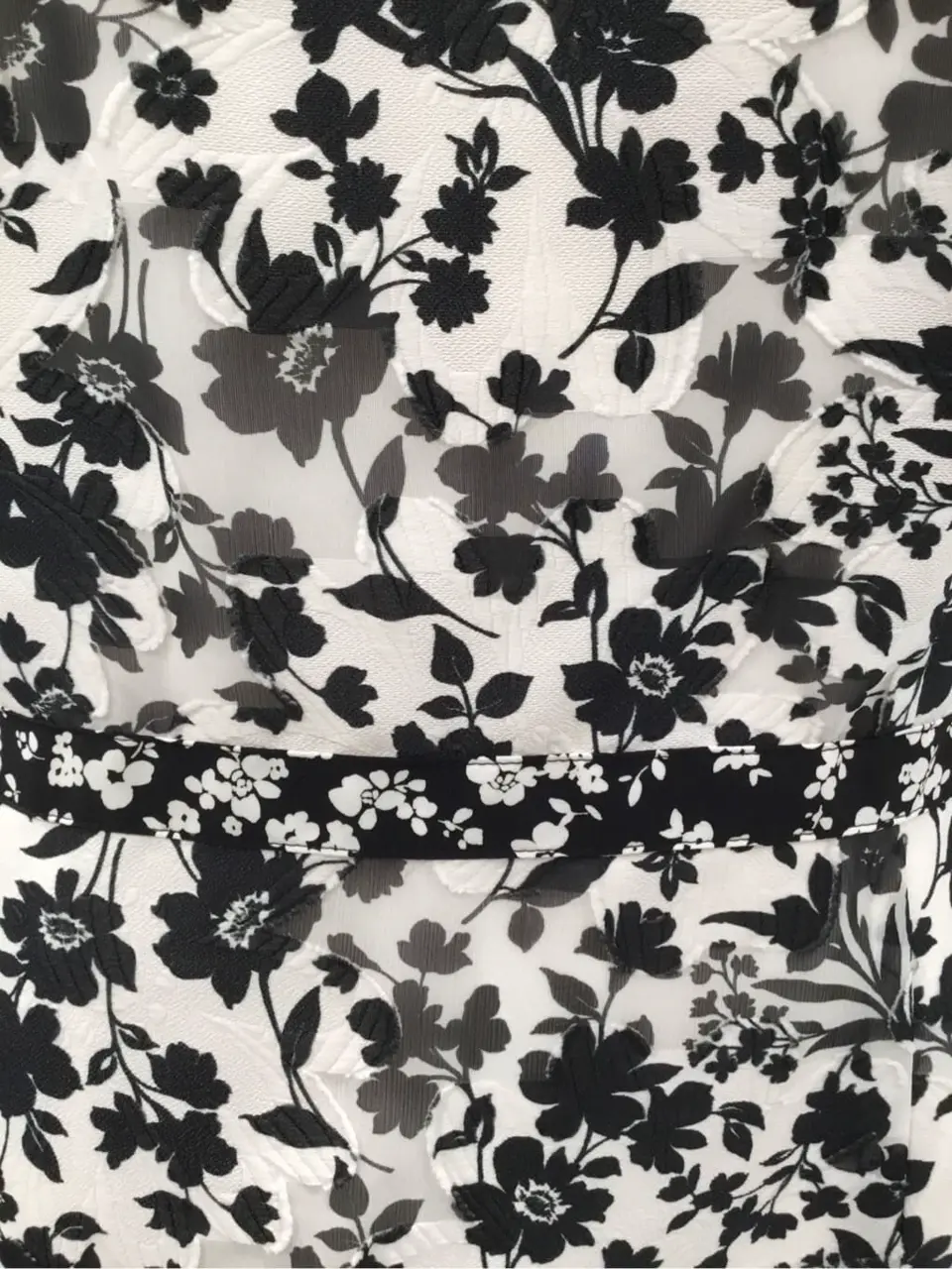 TOCCA ｋｉｍ コーディネート画像