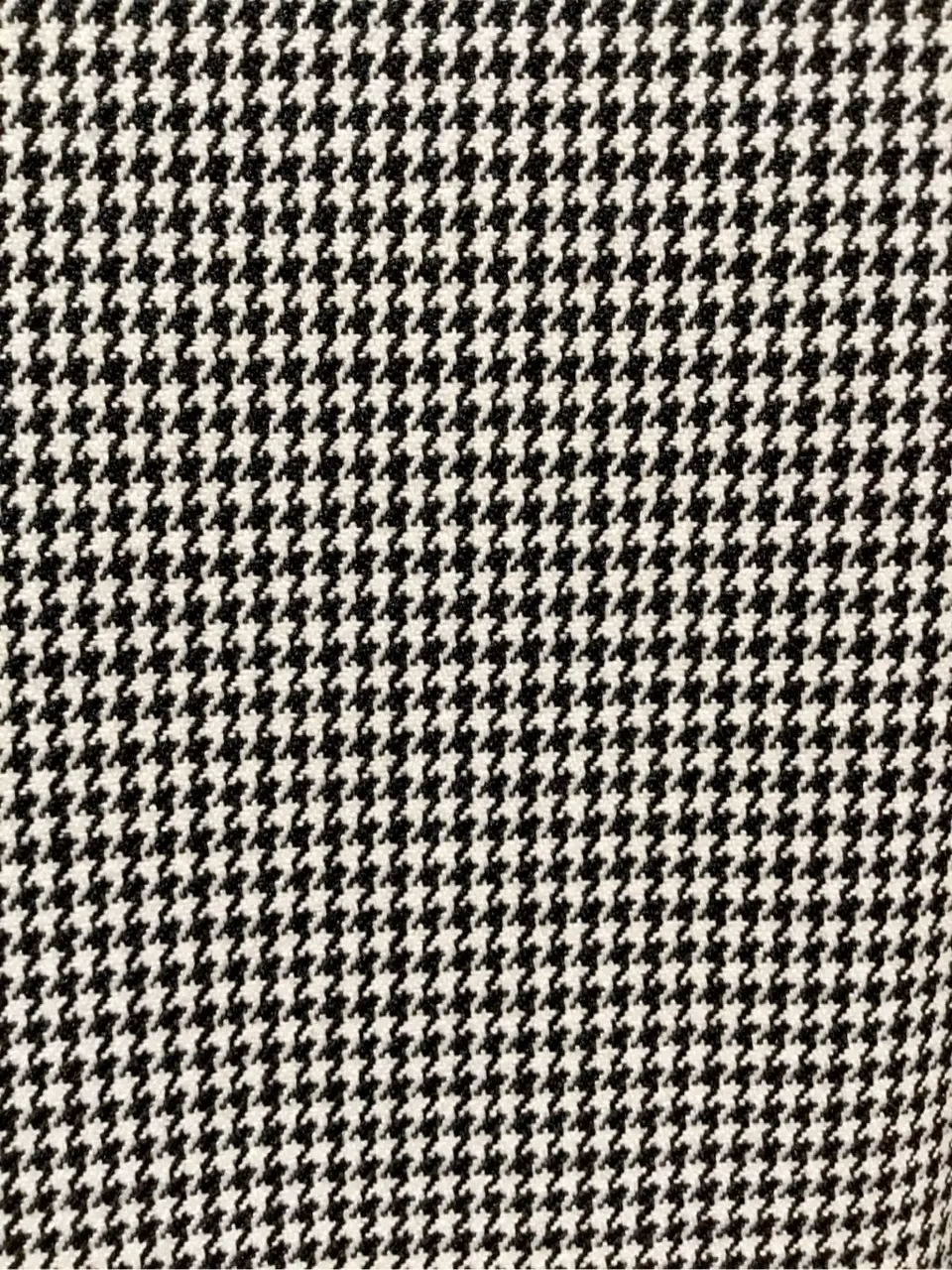 TOCCA Y.K コーディネート画像