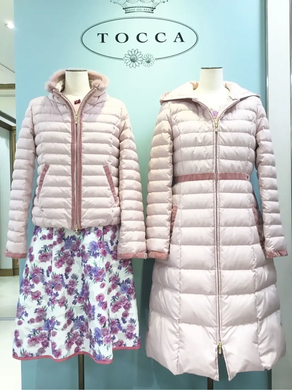 TOCCA 𝒽 コーディネート画像