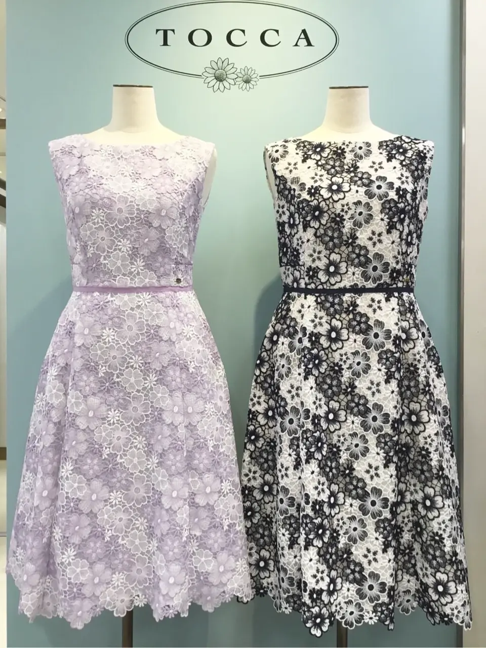 TOCCA 𝒽 コーディネート画像