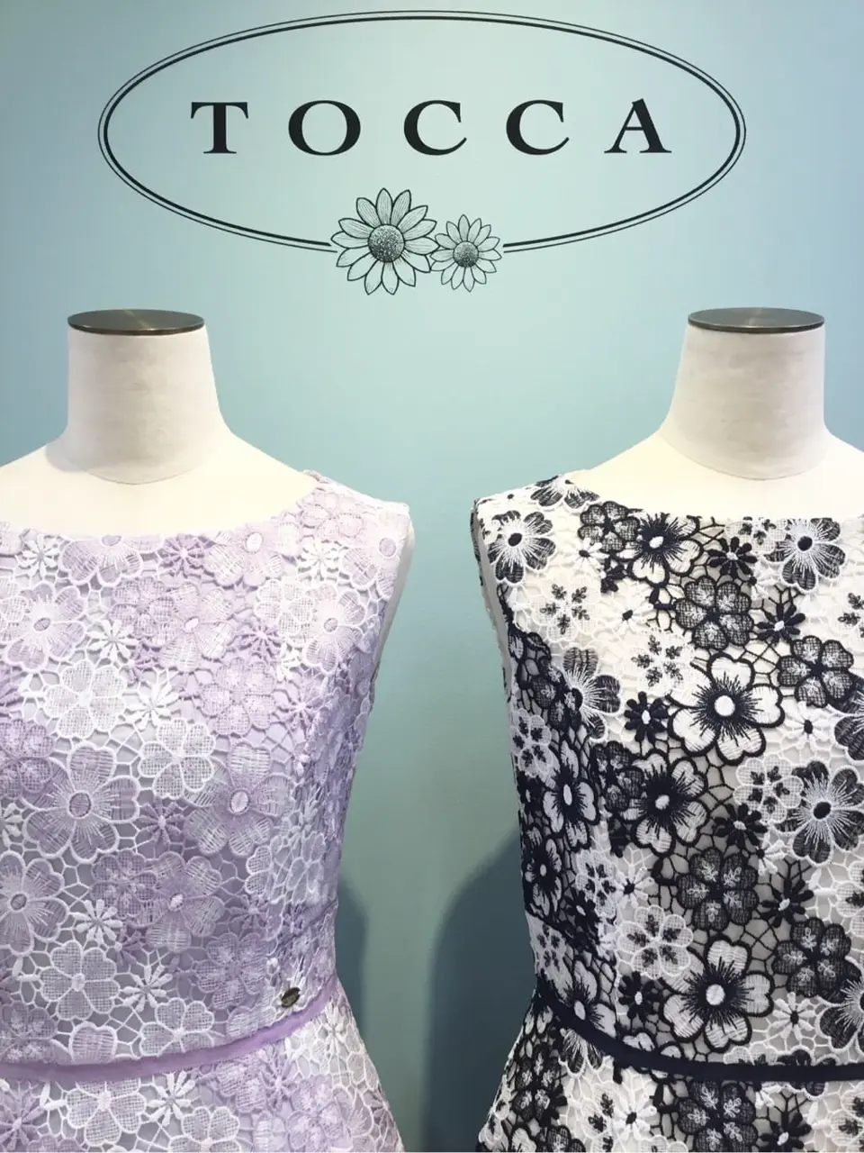 TOCCA 𝒽 コーディネート画像