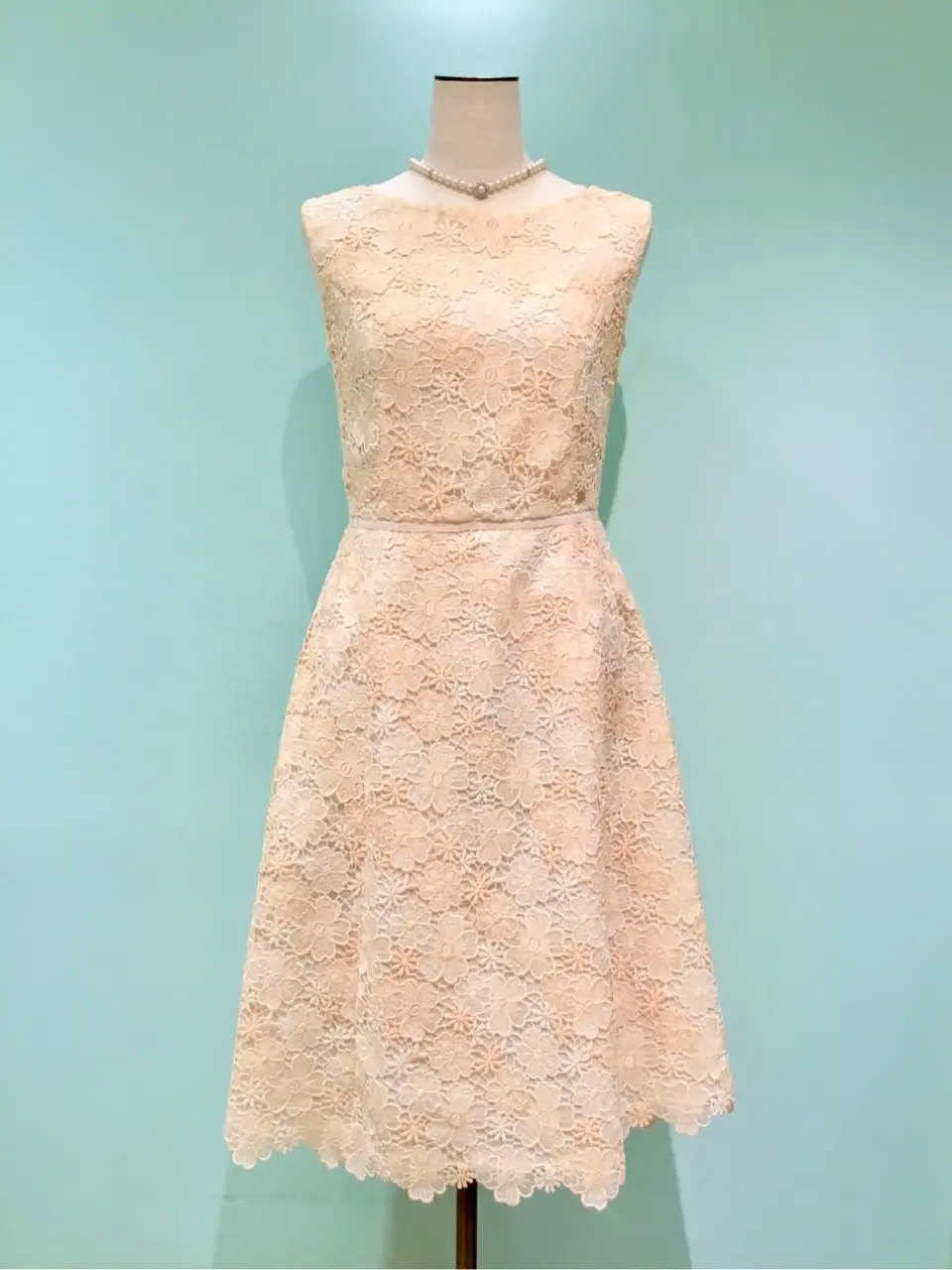 TOCCA Y.K コーディネート画像