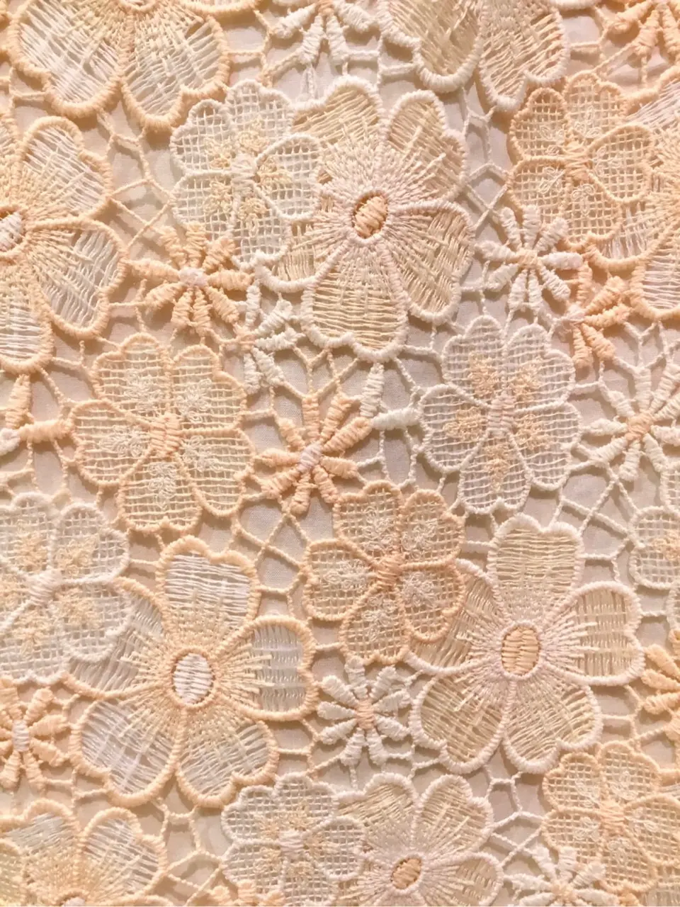 TOCCA Y.K コーディネート画像