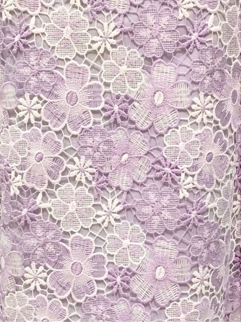 TOCCA Y.K コーディネート画像