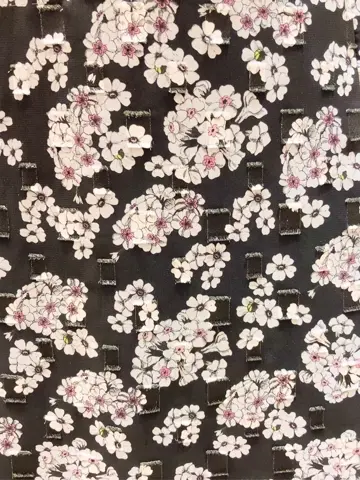 TOCCA 櫻木 コーディネート画像