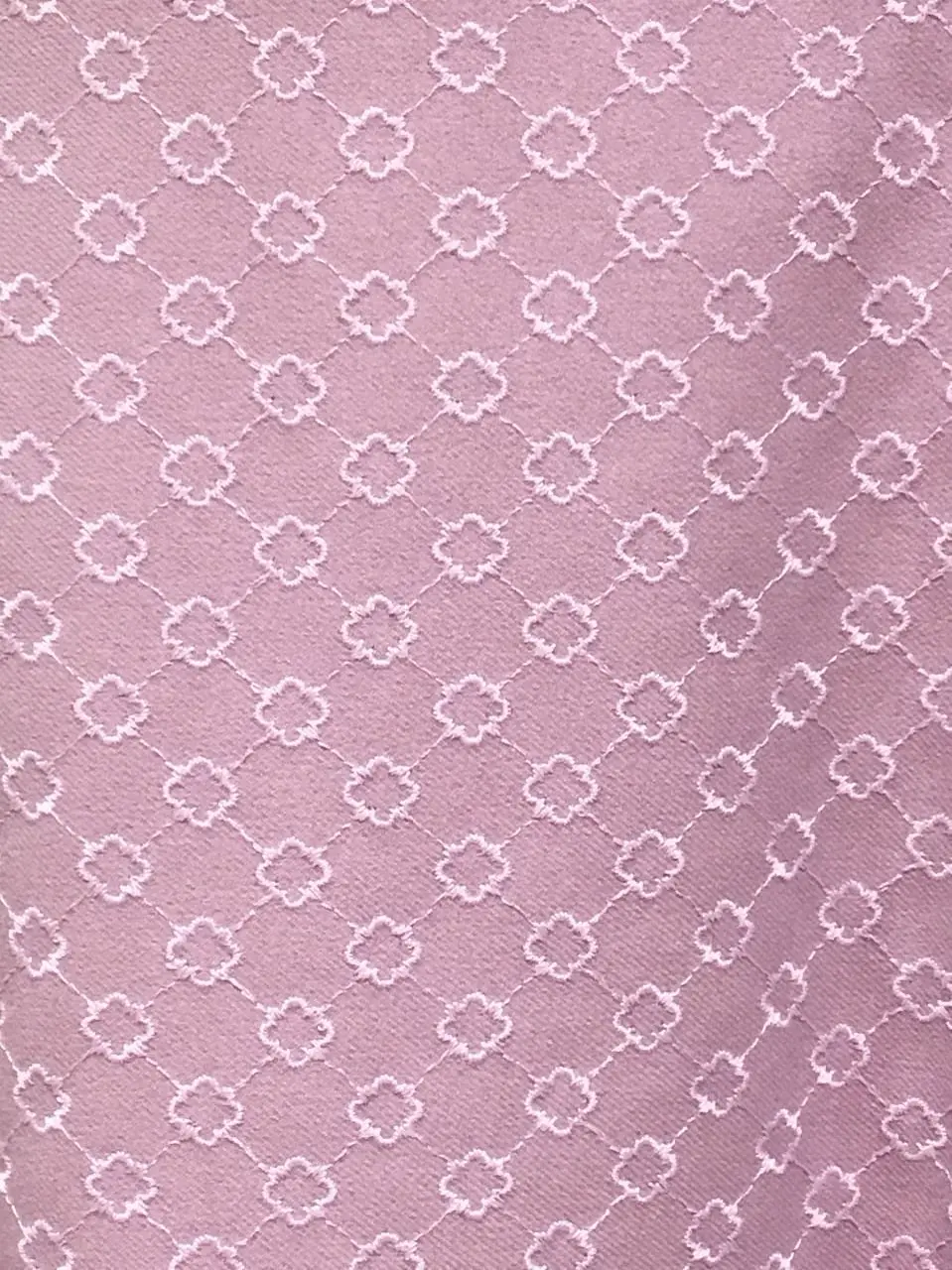 TOCCA Y.K コーディネート画像