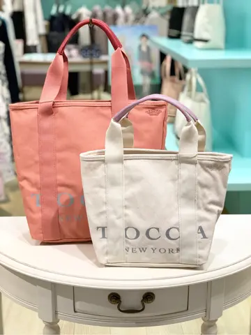 TOCCA 𝓕 コーディネート画像