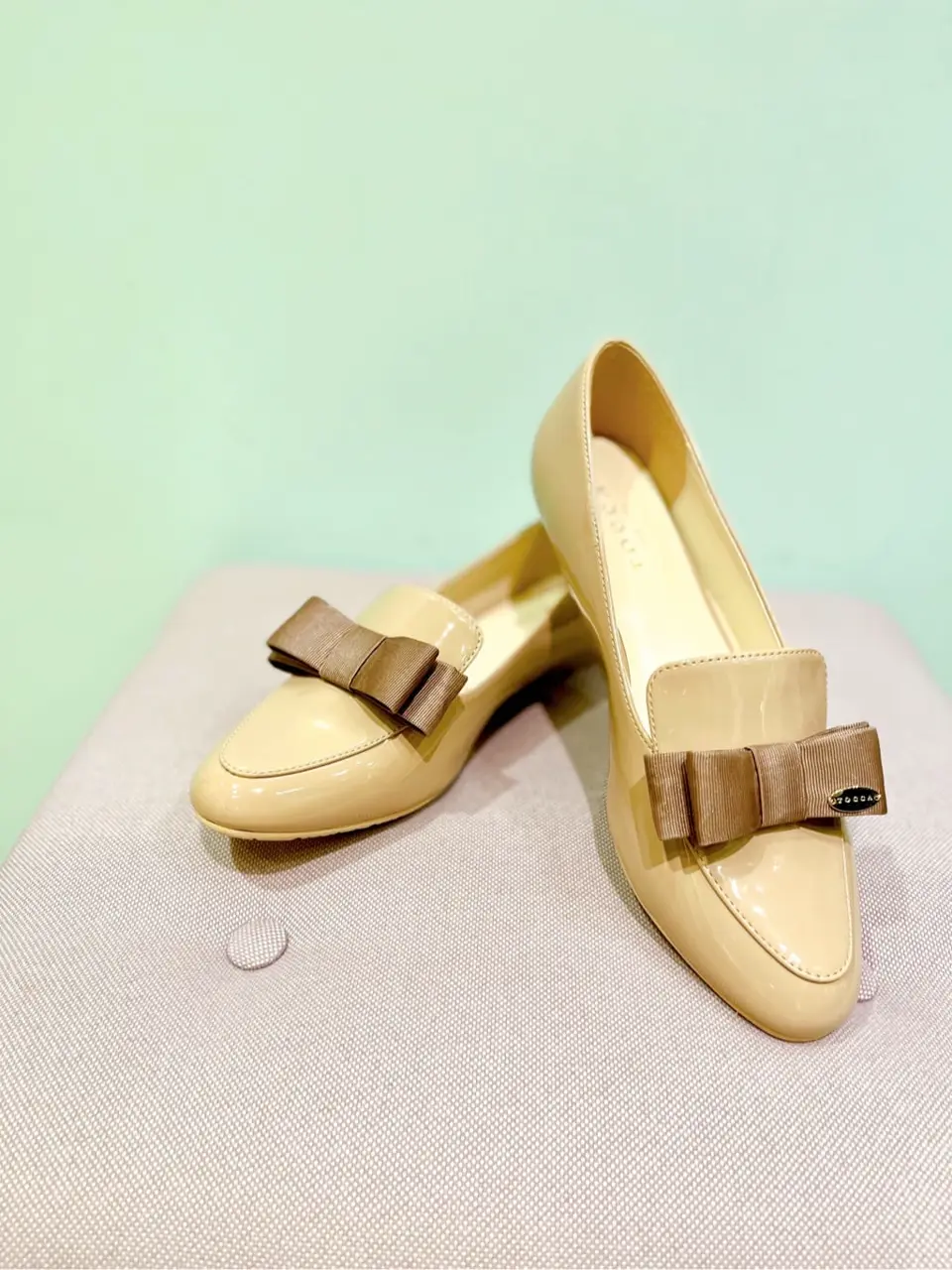 TOCCA Y.K コーディネート画像