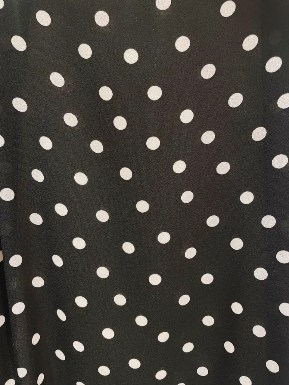 TOCCA 櫻木 コーディネート画像