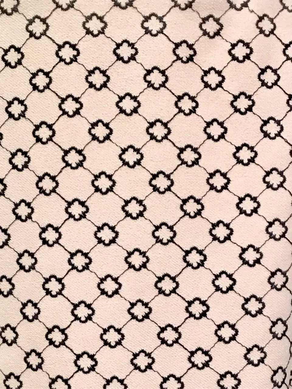 TOCCA Y.K コーディネート画像