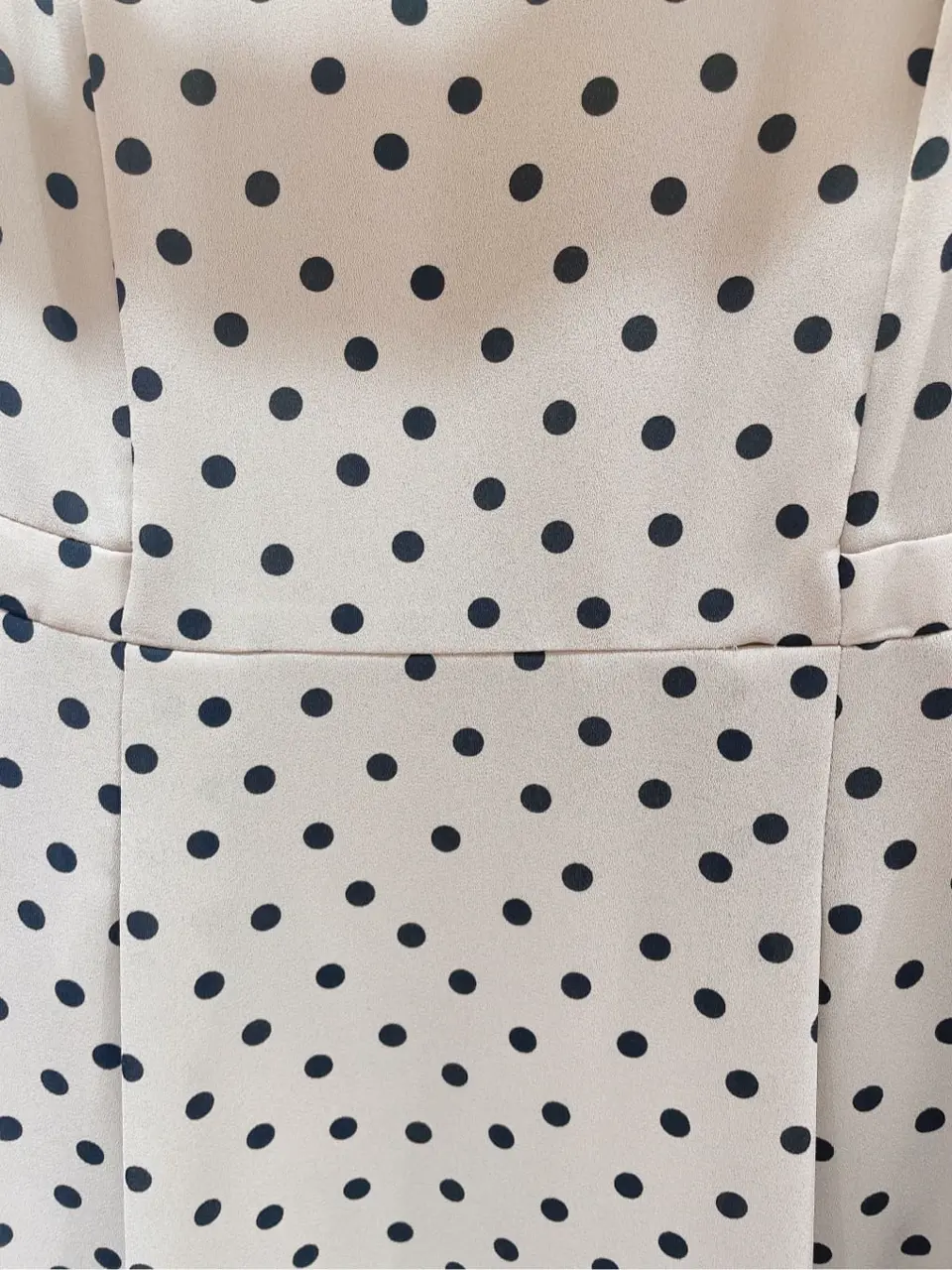 TOCCA 櫻木 コーディネート画像