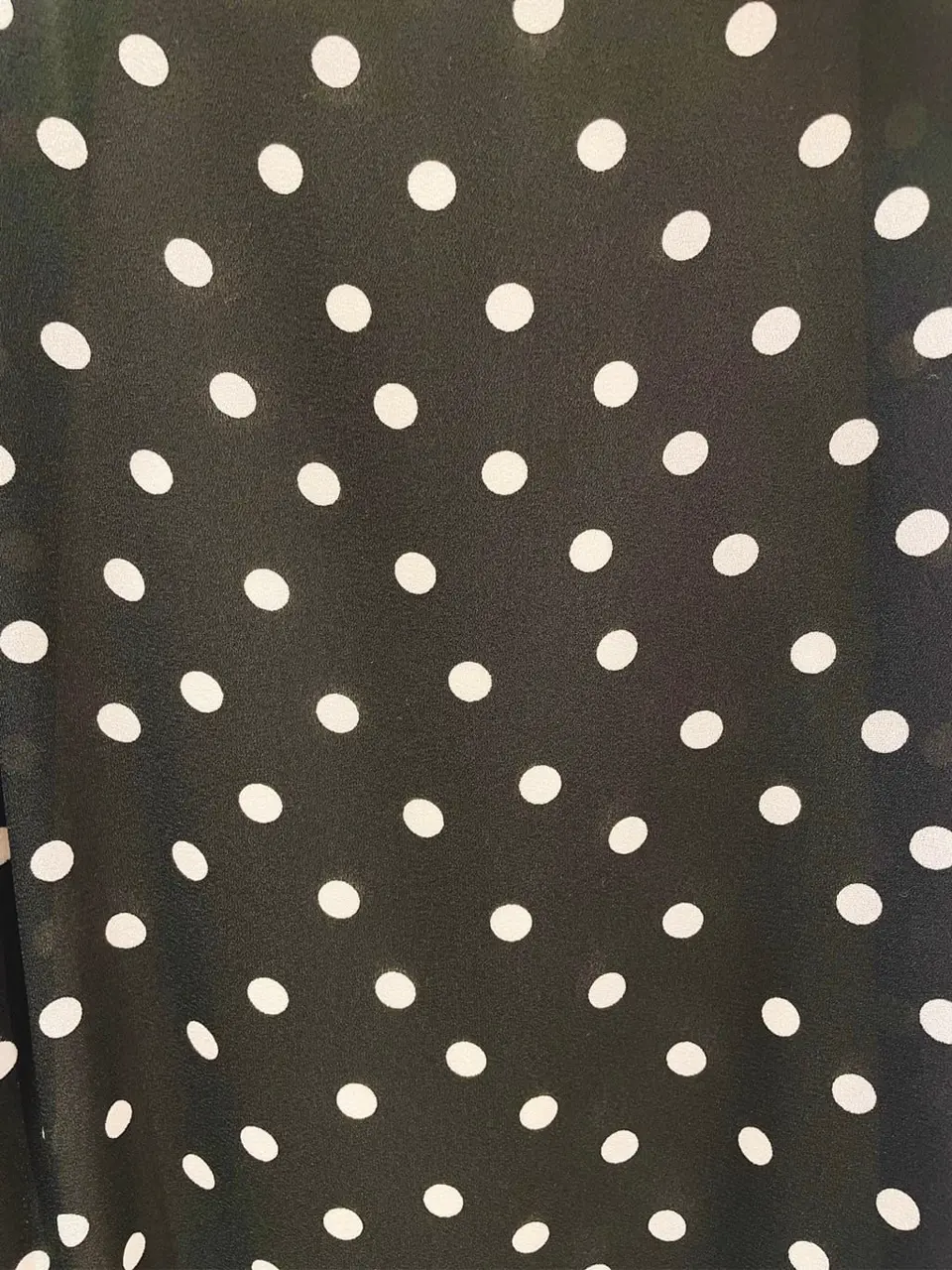 TOCCA 池部 コーディネート画像