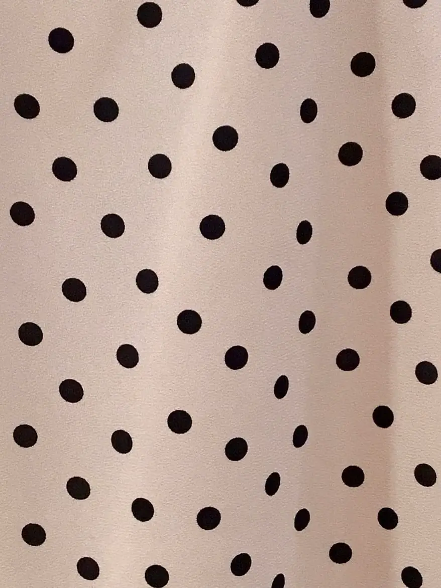 TOCCA Y.K コーディネート画像