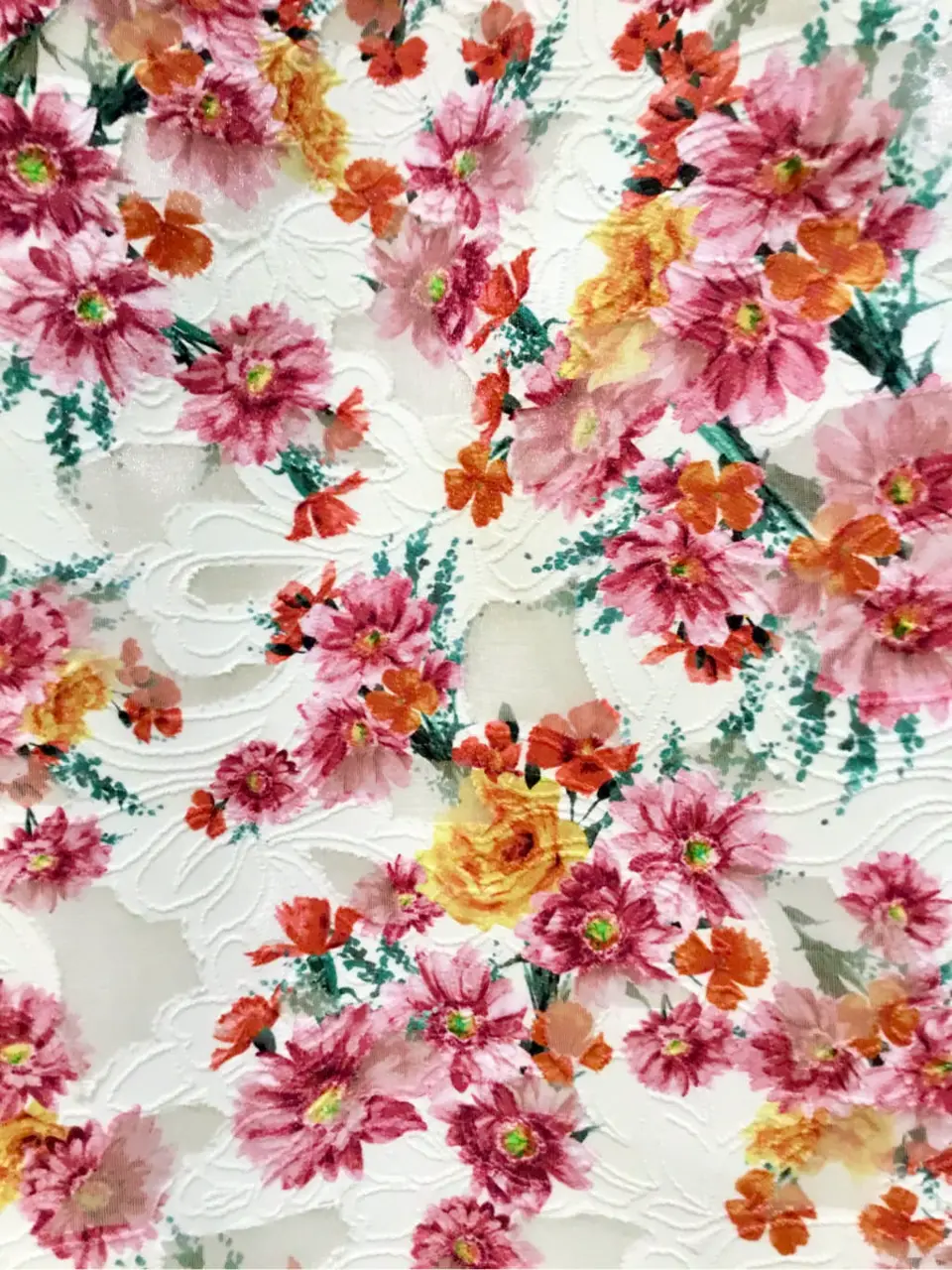 TOCCA Y.K コーディネート画像