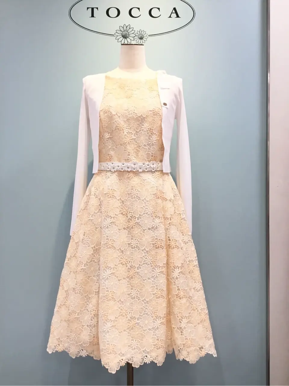 TOCCA 𝒽 コーディネート画像
