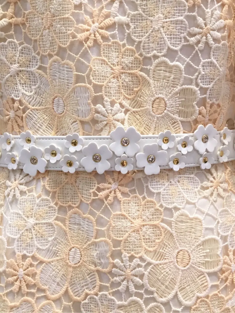 TOCCA 𝒽 コーディネート画像