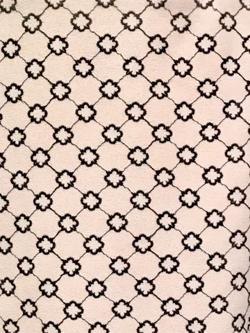 TOCCA Y.K コーディネート画像