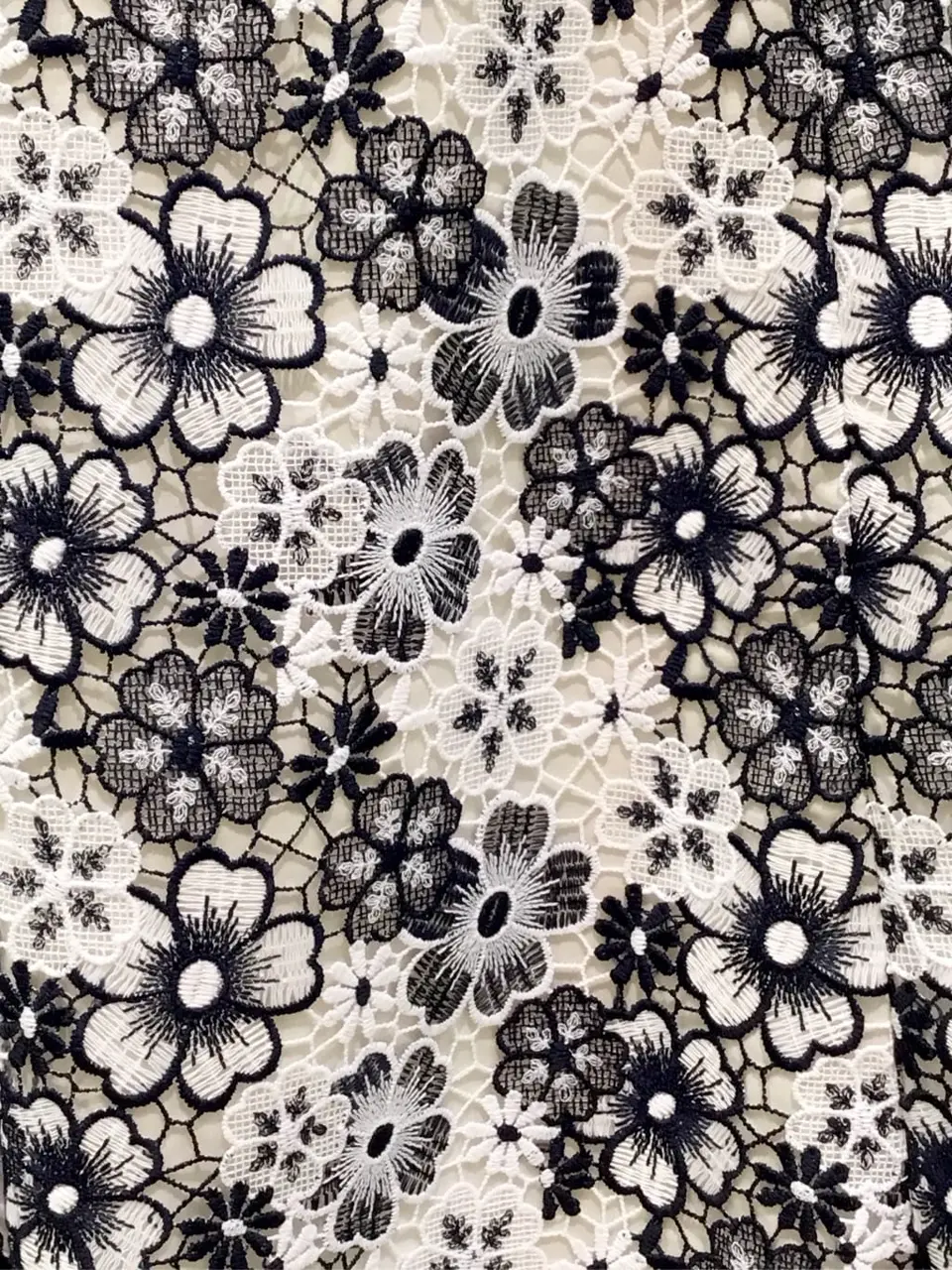 TOCCA Y.K コーディネート画像