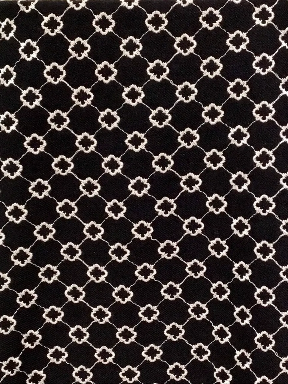 TOCCA Y.K コーディネート画像