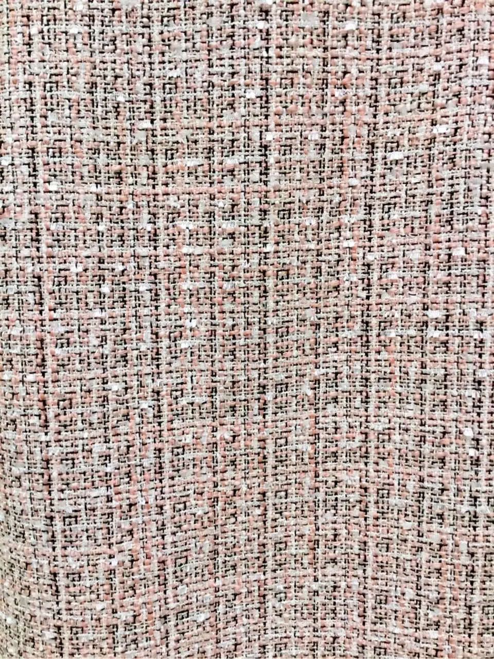 TOCCA Y.K コーディネート画像