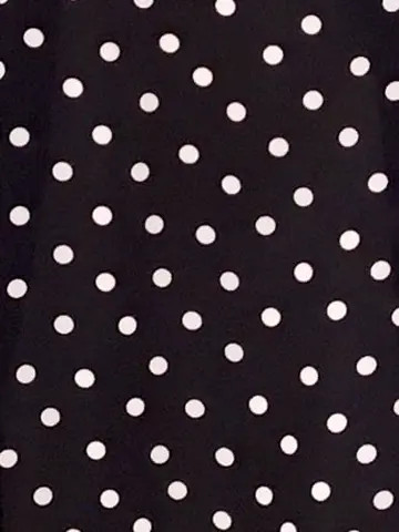 TOCCA Y.K コーディネート画像