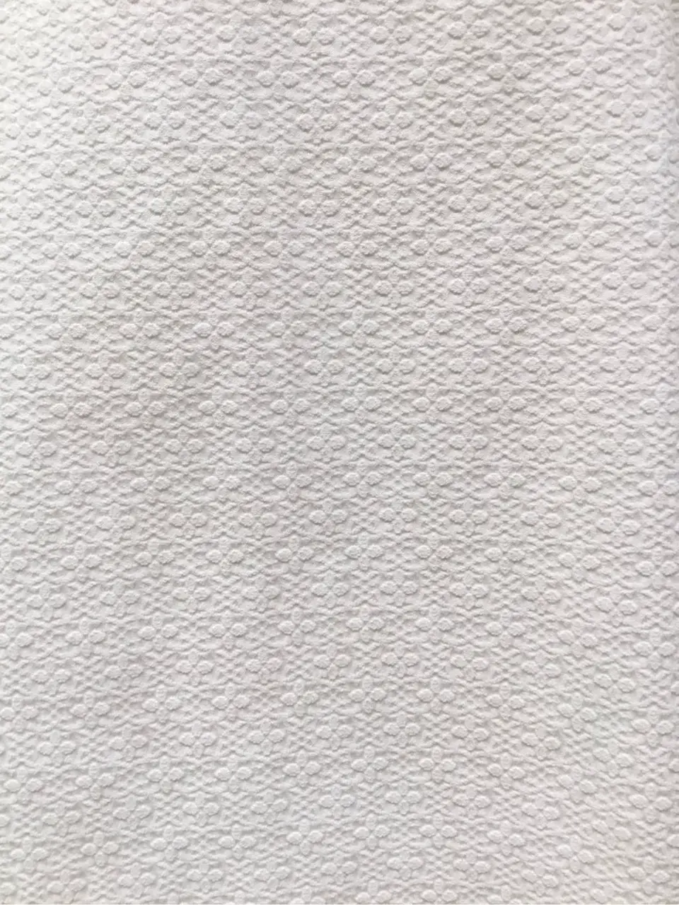 TOCCA Y.K コーディネート画像