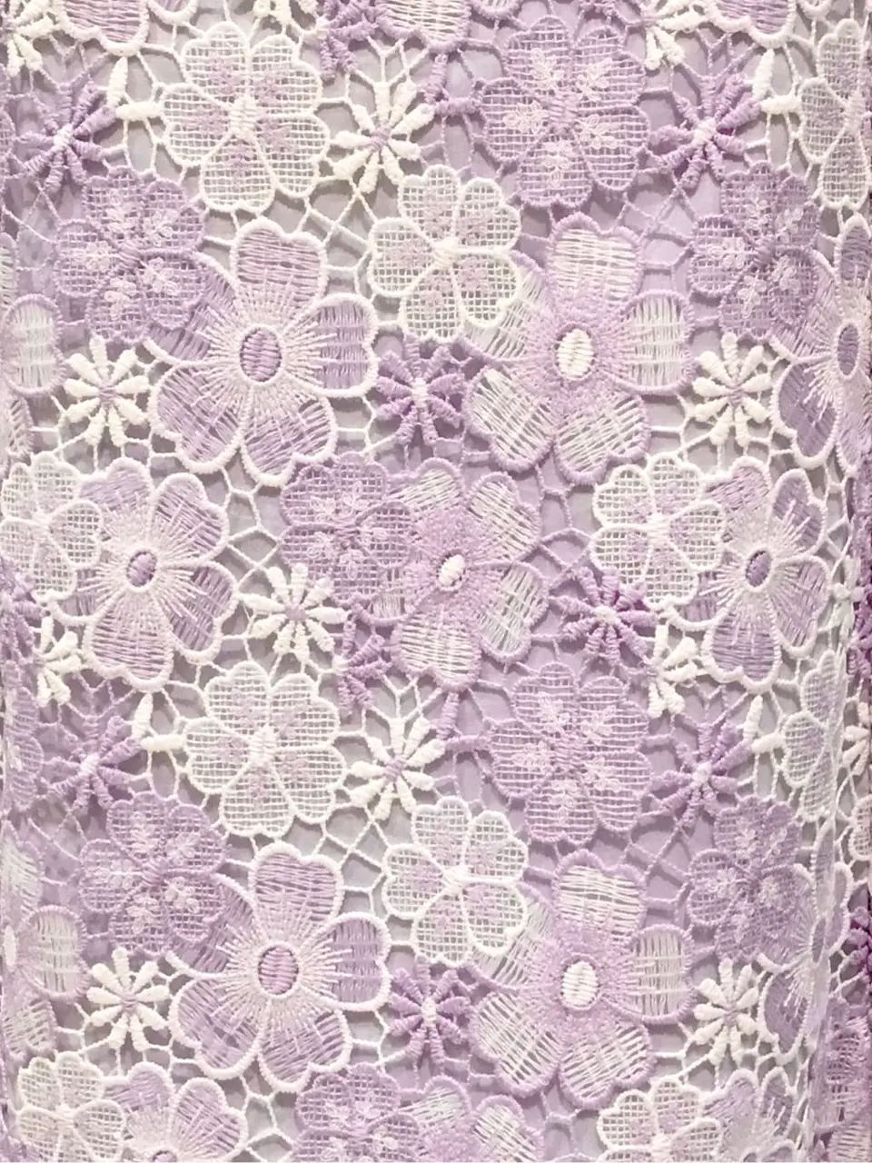 TOCCA Y.K コーディネート画像