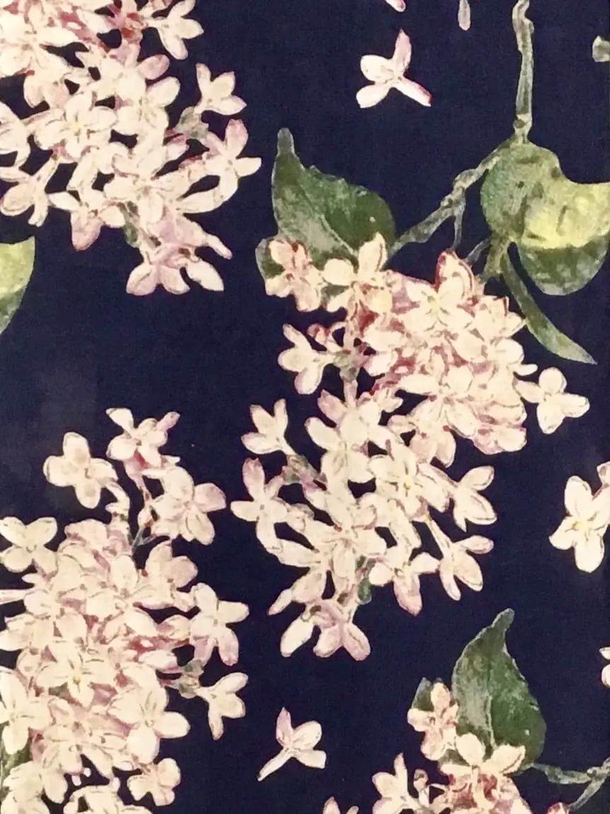 TOCCA Y.K コーディネート画像