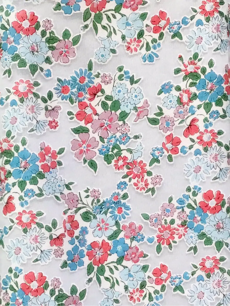 TOCCA Y.K コーディネート画像