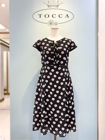 TOCCA 𝒽 コーディネート画像