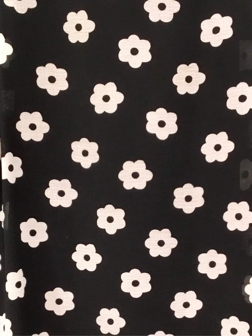 TOCCA Y.K コーディネート画像