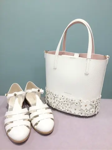 TOCCA 𝒽 コーディネート画像