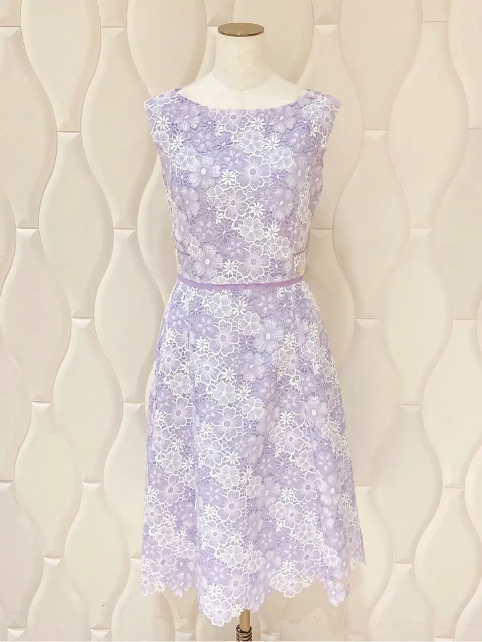 TOCCA 𝕂 コーディネート画像