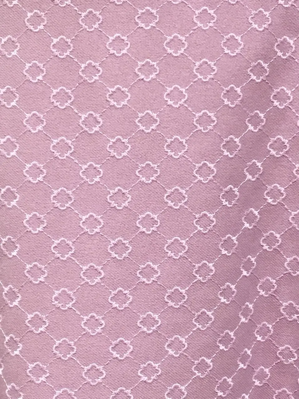 TOCCA Y.K コーディネート画像