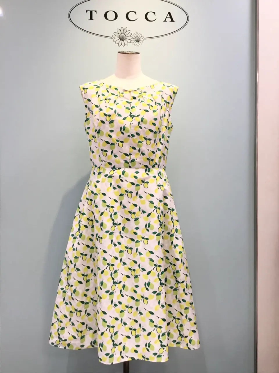 TOCCA 𝒽 コーディネート画像