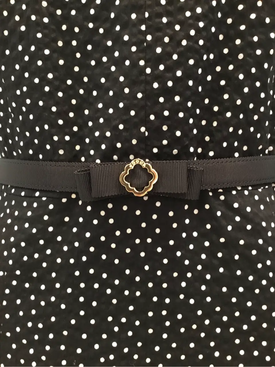 TOCCA 𝒽 コーディネート画像