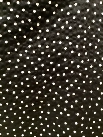 TOCCA Y.K コーディネート画像