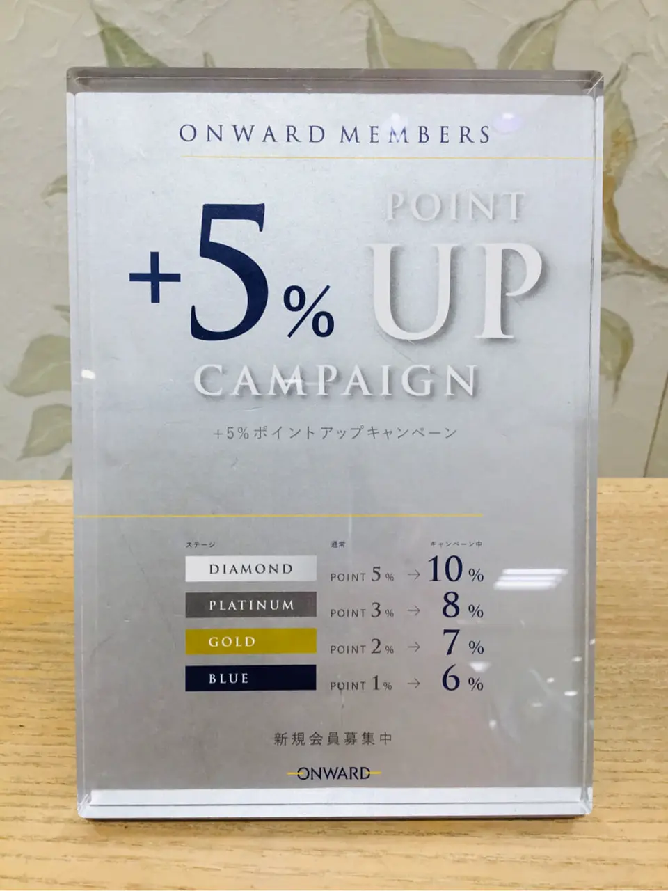 TOCCA 𝒽 コーディネート画像