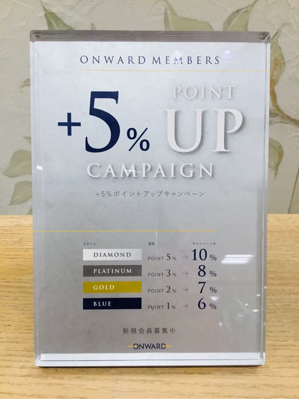 TOCCA 𝒽 コーディネート画像