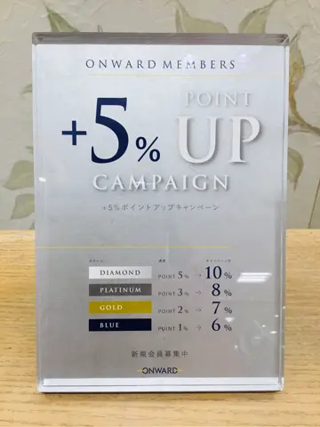 TOCCA 𝒽 コーディネート画像