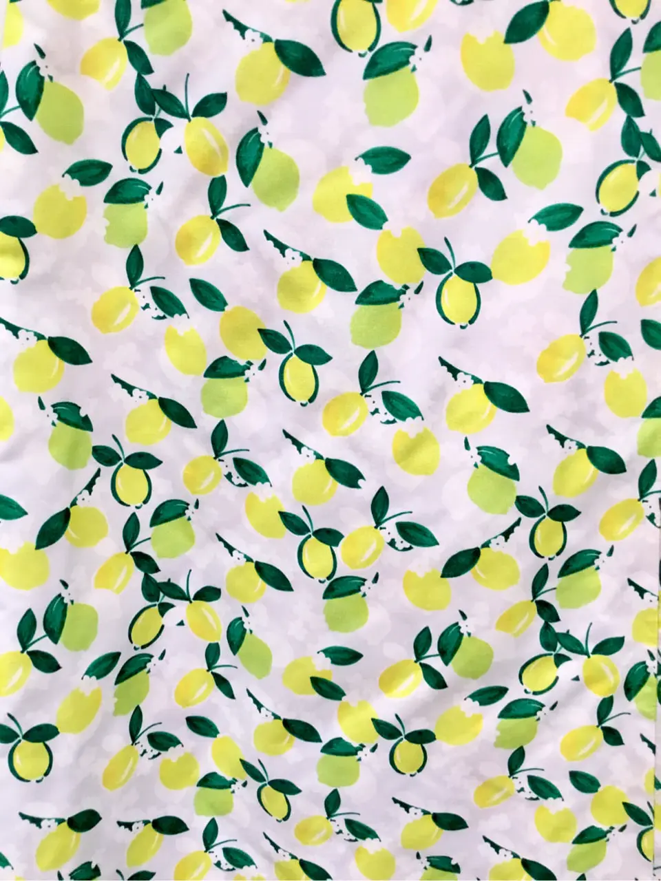 TOCCA Y.K コーディネート画像