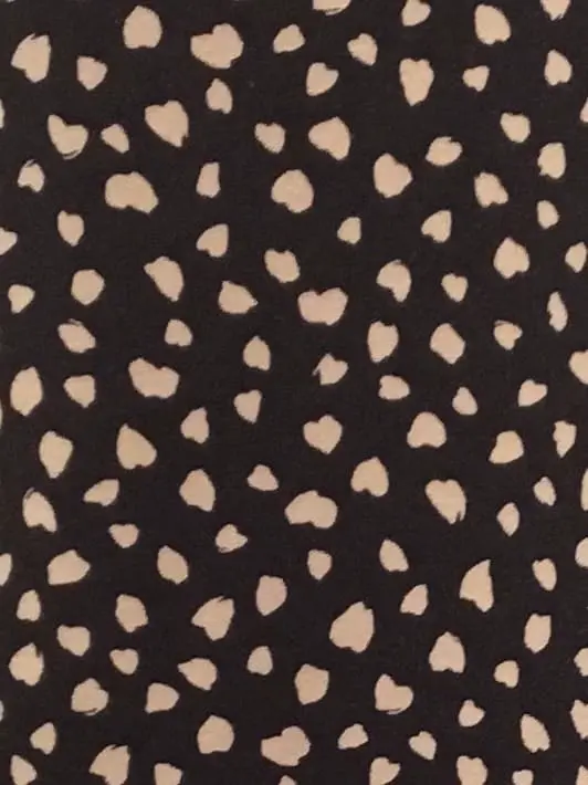 TOCCA Y.K コーディネート画像