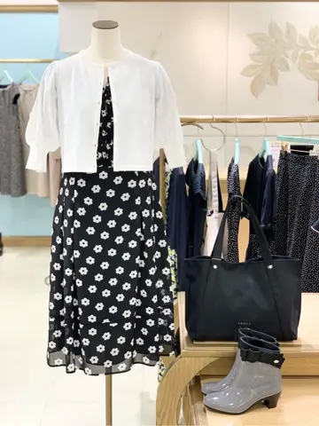 TOCCA 𝓕 コーディネート画像