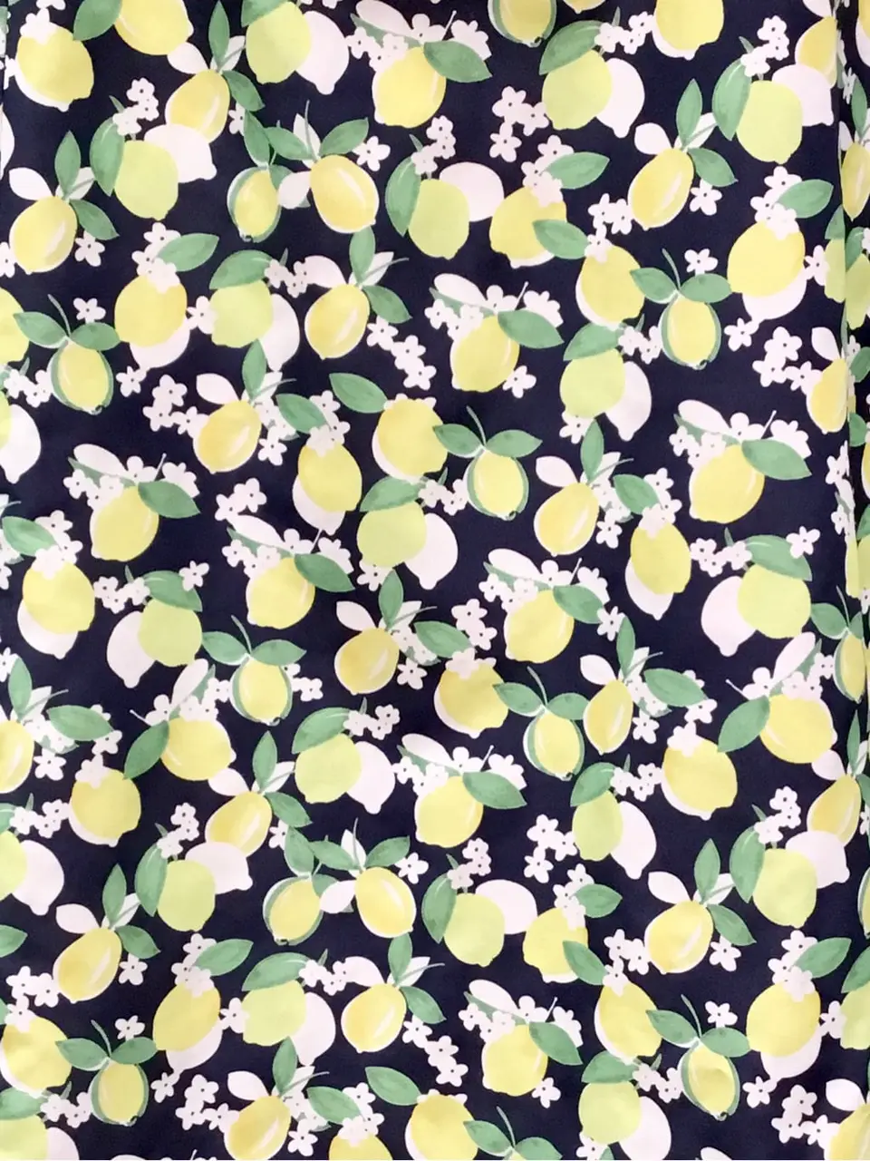 TOCCA Y.K コーディネート画像