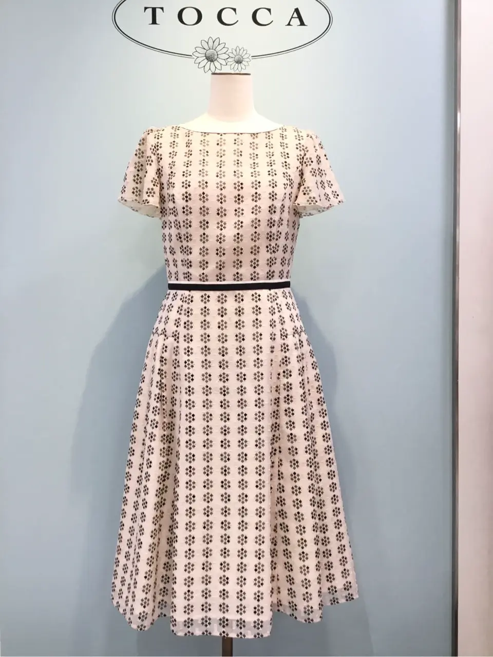 TOCCA 𝒽 コーディネート画像