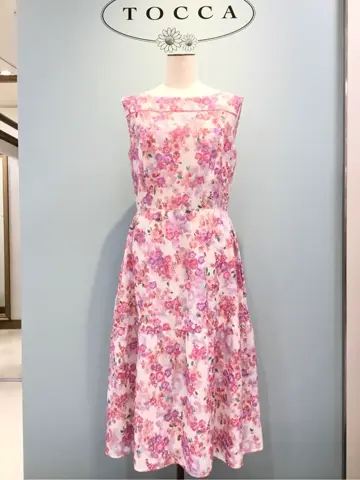 TOCCA 𝒽 コーディネート画像